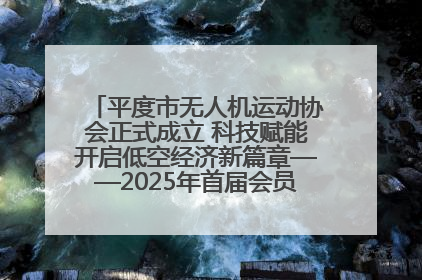平度市无人机运动协会正式成立 科技赋能开启低空经济新篇章——2025年首届会员大会暨无人机应用发展论坛成功举办