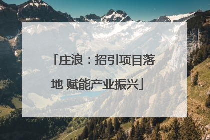 庄浪：招引项目落地 赋能产业振兴