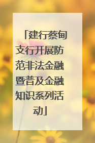 建行蔡甸支行开展防范非法金融暨普及金融知识系列活动