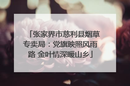 张家界市慈利县烟草专卖局：党旗映照风雨路 金叶情深暖山乡