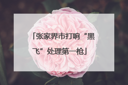 张家界市打响“黑飞”处理第一枪