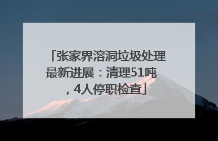 张家界溶洞垃圾处理最新进展：清理51吨，4人停职检查