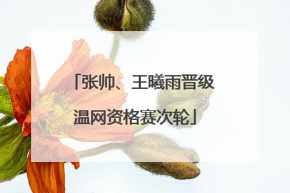 张帅、王曦雨晋级温网资格赛次轮
