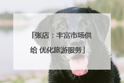 张店：丰富市场供给 优化旅游服务