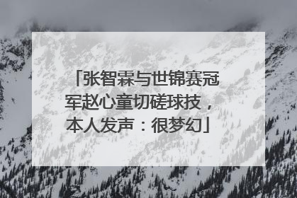 张智霖与世锦赛冠军赵心童切磋球技，本人发声：很梦幻