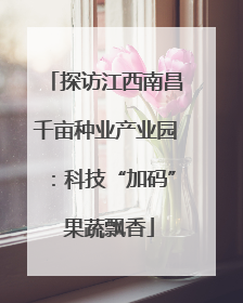 探访江西南昌千亩种业产业园：科技“加码” 果蔬飘香