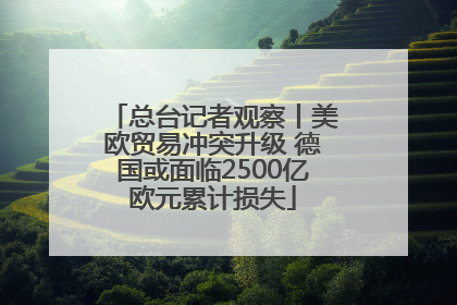 总台记者观察丨美欧贸易冲突升级 德国或面临2500亿欧元累计损失