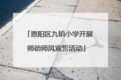 恩阳区九镇小学开展师德师风宣誓活动