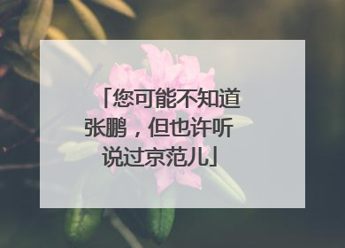 您可能不知道张鹏，但也许听说过京范儿