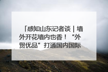 感知山东记者谈｜墙外开花墙内也香！“外贸优品”打通国内国际市场“旋转门”