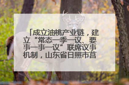 成立油桃产业链，建立“常态一季一议、要事一事一议”联席议事机制，山东省日照市莒县果庄镇——13个党小组“全周期”育果