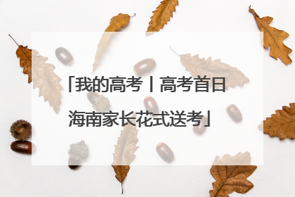 我的高考丨高考首日 海南家长花式送考