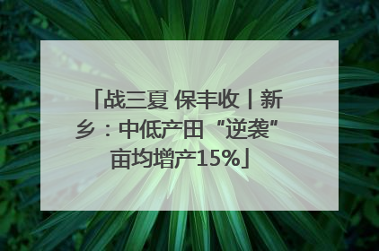 战三夏 保丰收丨新乡：中低产田“逆袭” 亩均增产15%