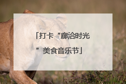 打卡“廊洽时光”美食音乐节