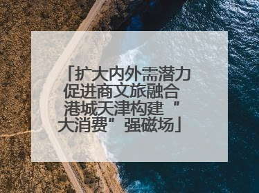 扩大内外需潜力 促进商文旅融合 港城天津构建“大消费”强磁场