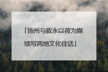 扬州与叙永以荷为媒续写两地文化佳话