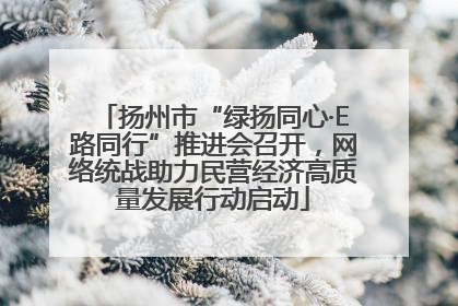 扬州市“绿扬同心·E路同行”推进会召开，网络统战助力民营经济高质量发展行动启动
