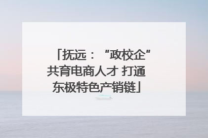 抚远：“政校企”共育电商人才 打通东极特色产销链