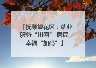 抚顺望花区：就业服务“出圈” 居民幸福“加码”