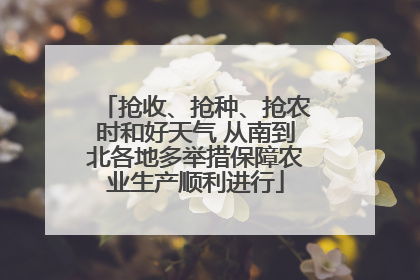 抢收、抢种、抢农时和好天气 从南到北各地多举措保障农业生产顺利进行