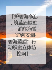 护碧海净浪，筑蓝盾铁壁——浦东海警“沪海安澜·碧海蓝盾”行动织密立体防控网