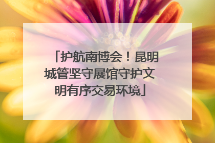 护航南博会！昆明城管坚守展馆守护文明有序交易环境