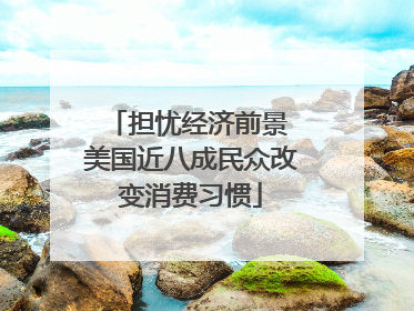 担忧经济前景 美国近八成民众改变消费习惯