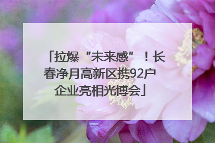 拉爆“未来感”！长春净月高新区携92户企业亮相光博会