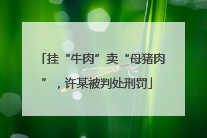 挂“牛肉”卖“母猪肉”，许某被判处刑罚