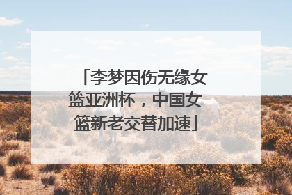 李梦因伤无缘女篮亚洲杯，中国女篮新老交替加速