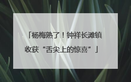 杨梅熟了！钟祥长滩镇收获“舌尖上的惊喜”