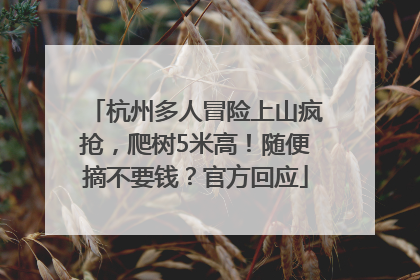 杭州多人冒险上山疯抢，爬树5米高！随便摘不要钱？官方回应