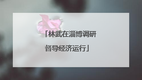 林武在淄博调研督导经济运行