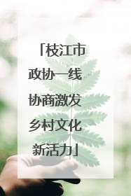 枝江市政协一线协商激发乡村文化新活力