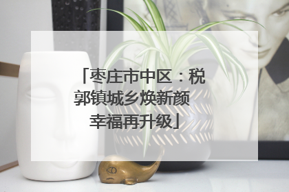 枣庄市中区：税郭镇城乡焕新颜 幸福再升级
