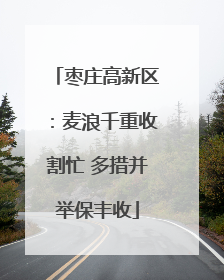枣庄高新区：麦浪千重收割忙 多措并举保丰收