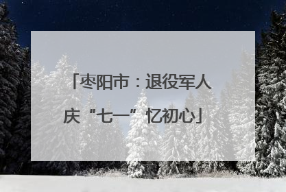 枣阳市：退役军人庆“七一”忆初心