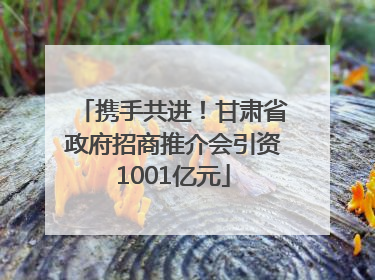 携手共进！甘肃省政府招商推介会引资1001亿元