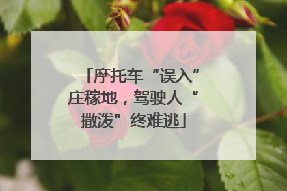 摩托车“误入”庄稼地，驾驶人“撒泼”终难逃