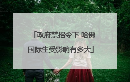 政府禁招令下 哈佛国际生受影响有多大