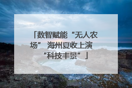 数智赋能“无人农场” 海州夏收上演“科技丰景”