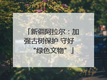 新疆阿拉尔：加强古树保护 守好“绿色文物”