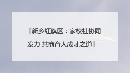 新乡红旗区：家校社协同发力 共商育人成才之道