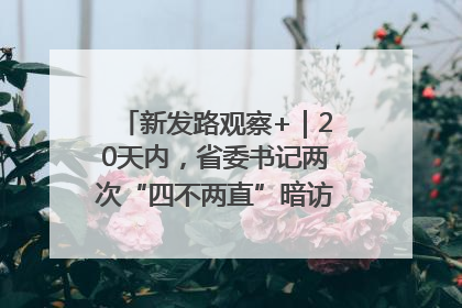 新发路观察+｜20天内，省委书记两次“四不两直”暗访，有何深意？