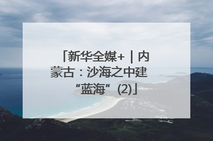 新华全媒+｜内蒙古：沙海之中建“蓝海”(2)
