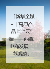 新华全媒+｜高原产品上“云”端——西藏电商发展一线观察