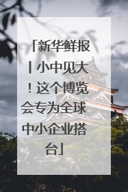 新华鲜报丨小中见大！这个博览会专为全球中小企业搭台