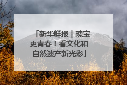 新华鲜报｜瑰宝更青春！看文化和自然遗产新光彩