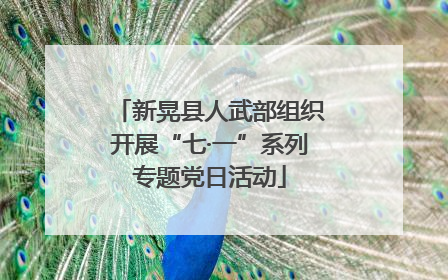 新晃县人武部组织开展“七·一”系列专题党日活动
