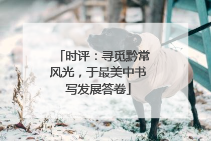 时评：寻觅黔常风光，于最美中书写发展答卷
